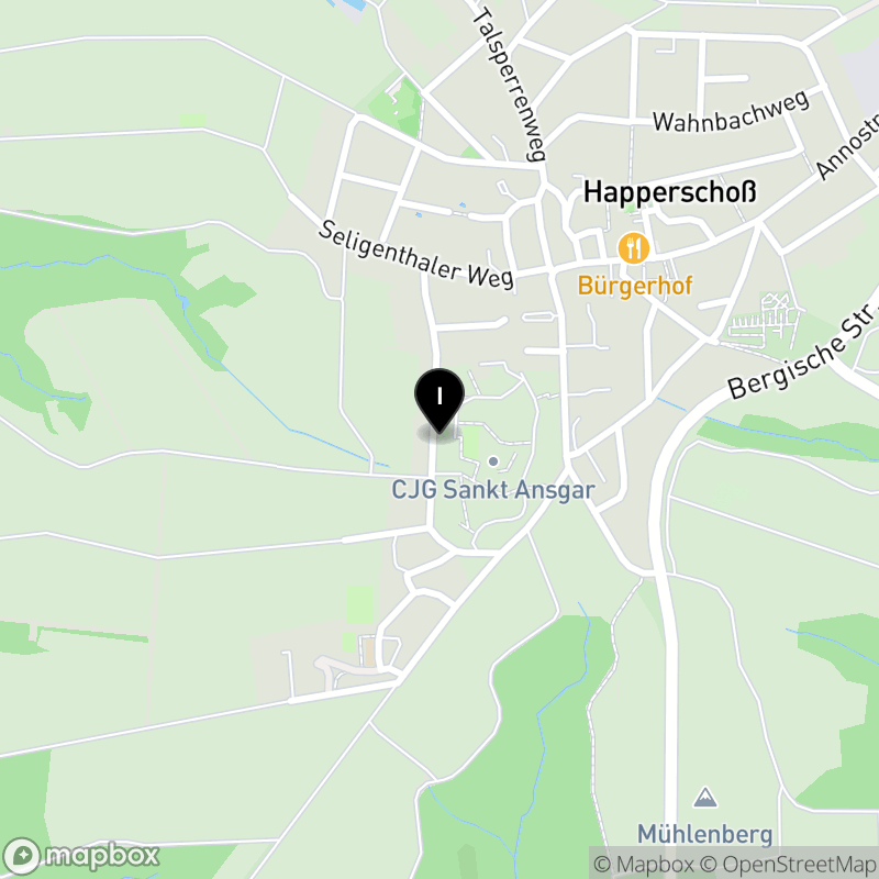 Kartenausschnitt:CJG St. Ansgar Berufskolleg der Caritas Jugendhilfe Gesellschaft mbH