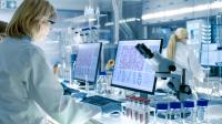 Eine Biologielaborantin mikroskopiert verschiedene Proben Blutzellen und wertet die Bilder am Computer aus.