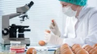 Eine lebensmitteltechnische Assistentin in Schutzkleidung kontrolliert eine Charge Eier im Labor. Auf ihrem Arbeitsplatz stehen Petrischalen, Gläser, ein Mikroskop und ein Karton mit Eiern.