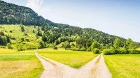 Eine Weggabelung in der Natur