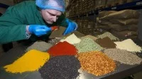 Ein Verfahrenstechnologe Mühlen- und Getreidewirtschaft führt die sensorische Prüfung der gelieferten Gewürze im Rohwarenlager durch.
