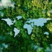 Blick von oben auf einen Wald mit Seen in Form der Kontente