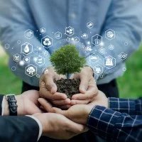 Drei Hände halten gemeinsam einen Ki-generierten Baum in der Hand. 