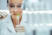 Eine agrarwirtschaftlich-technische Assistentin in Schutzkleidung hält ein Reagenzglas mit einer Probe von Keimlingen und eine Pinzette in der Hand. 