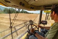 Eine Fachkraft Agrarservice fährt die Ernte eines Getreidefeldes mit dem Mähdrescher ein.