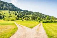 Eine Weggabelung in der Natur