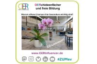 OERrchideenfächer
