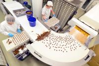 Zwei Süßwarentechnologinnen arbeiten in der Fabrik an der Herstellung von Pralinen.