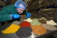 Ein Verfahrenstechnologe Mühlen- und Getreidewirtschaft führt die sensorische Prüfung der gelieferten Gewürze im Rohwarenlager durch.