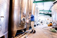 Ein Weintechnologe nimmt eine Weinprobe aus einem Edelstahl-Gärtank zur Qualitätskontrolle.