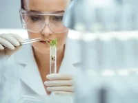 Eine agrarwirtschaftlich-technische Assistentin in Schutzkleidung hält ein Reagenzglas mit einer Probe von Keimlingen und eine Pinzette in der Hand. 