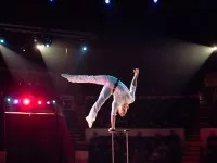 Ein Artist in weißer Kleidung führt in der Manege ein Kunststück vor. Er wird dabei von Scheinwerfen angeleuchtet.