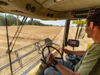 Eine Fachkraft Agrarservice fährt die Ernte eines Getreidefeldes mit dem Mähdrescher ein.