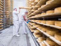 Zwei Milchtechnologen überprüfen in der Gläsernen Molkerei in Münchehofe die Reifung der Käselaibe.