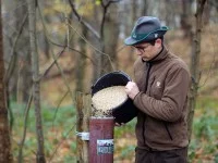 Ein Revierjäger sorgt dafür, dass die Tiere im Revier im Winter genügend Futter haben.