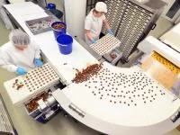 Zwei Süßwarentechnologinnen arbeiten in der Fabrik an der Herstellung von Pralinen.