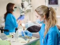 Eine Zahnmedizinische Fachangestellte nimmt mit einer Pinzette einen Bohrer für die Zahnärztin.